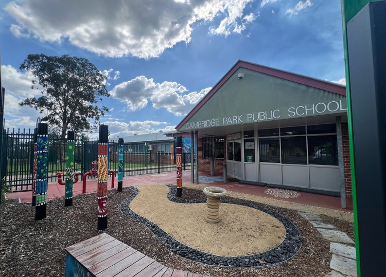 a photo of a front aboriginal garden